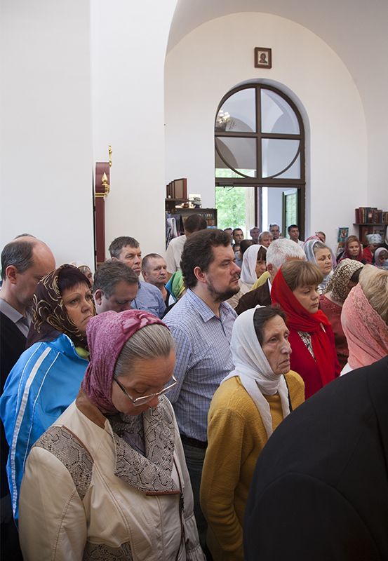 016_2017_6_11_17_33_26_1335153443