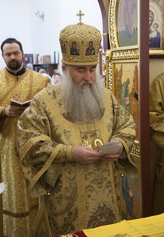 020_2017_6_11_17_33_26_909839254