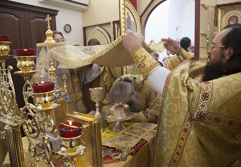 028_2017_6_11_17_33_27_1278471916