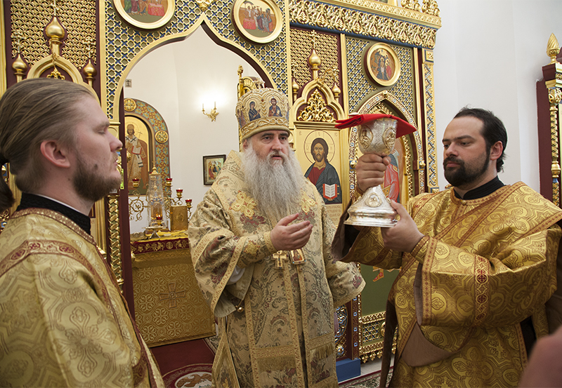 033_2017_6_11_17_33_28_1208582497