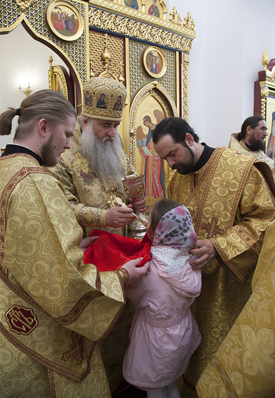 035_2017_6_11_17_33_28_386294882