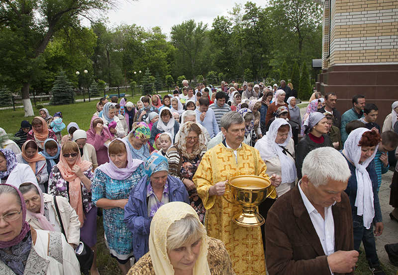 041_2017_6_11_17_33_29_1465933653