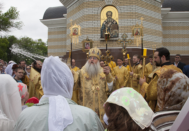 042_2017_6_11_17_33_29_469235626