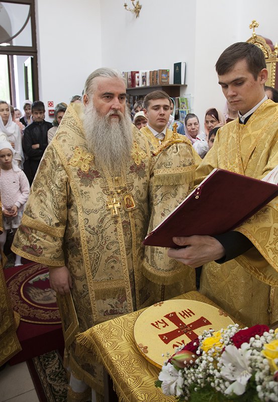 049_2017_6_11_17_33_30_1834566315