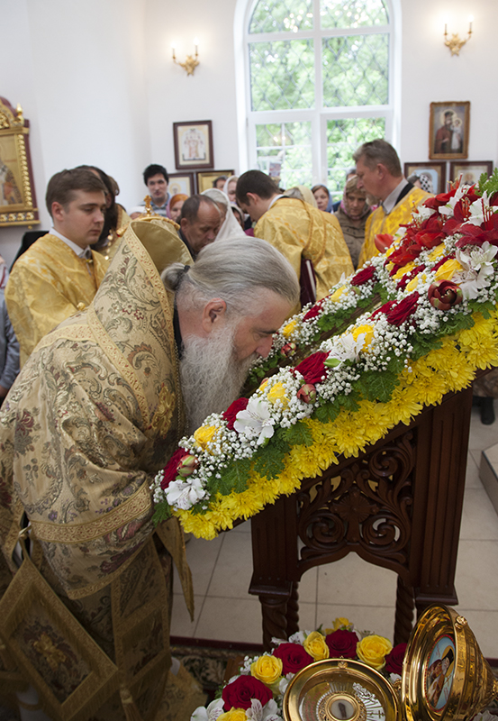 050_2017_6_11_17_33_30_1228237768