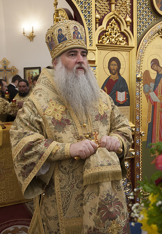 054_2017_6_11_17_33_31_1478984977