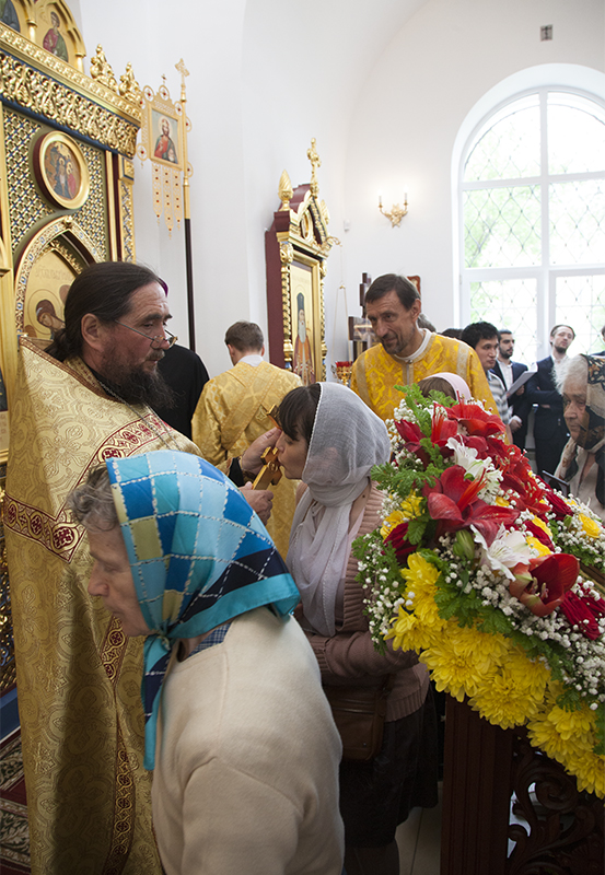 056_2017_6_11_17_33_31_1548717829